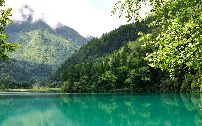 先进全自动智能
